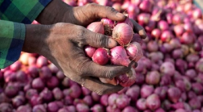 Production of 1 million tons of onion is more than the demand in the country